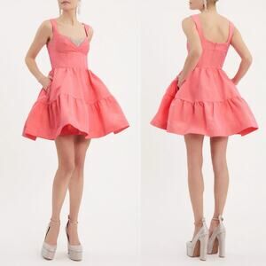 NWT Rebecca Vallance Byrdie pink mini dress size 4